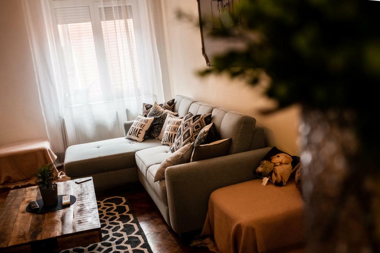Art Downtown Alecsandri St Luxury Apartment 오라데아 외부 사진