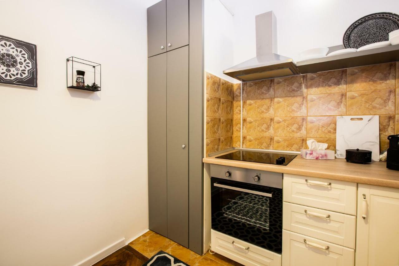 Art Downtown Alecsandri St Luxury Apartment 오라데아 외부 사진